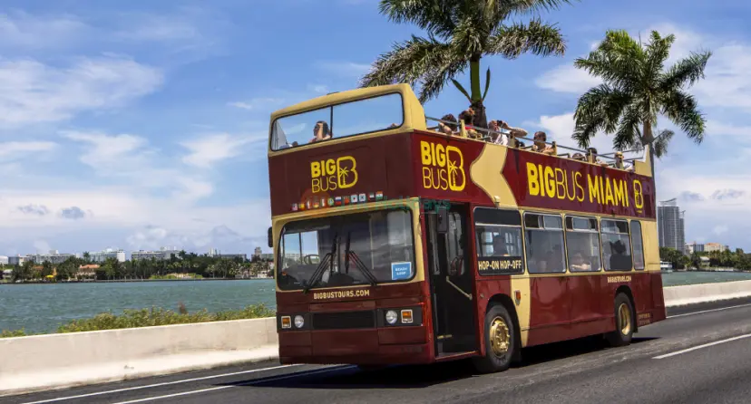 Miami Open-Top Night Bus Tour - Image 1 of 8