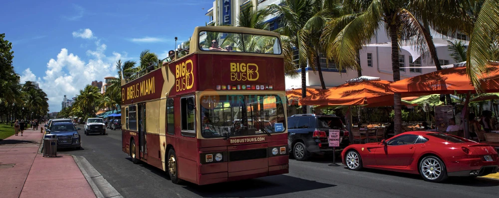 Miami Open-Top Night Bus Tour - Explore the City After Dark- JTR Holidays - Image 4 of 5