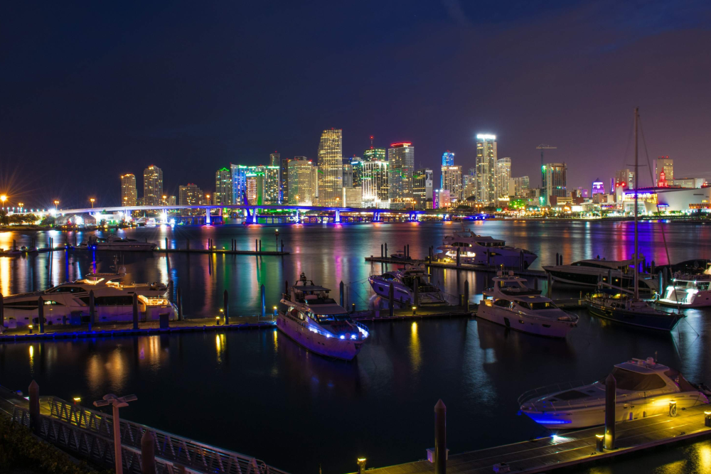Miami Open-Top Night Bus Tour - Image 5 of 8