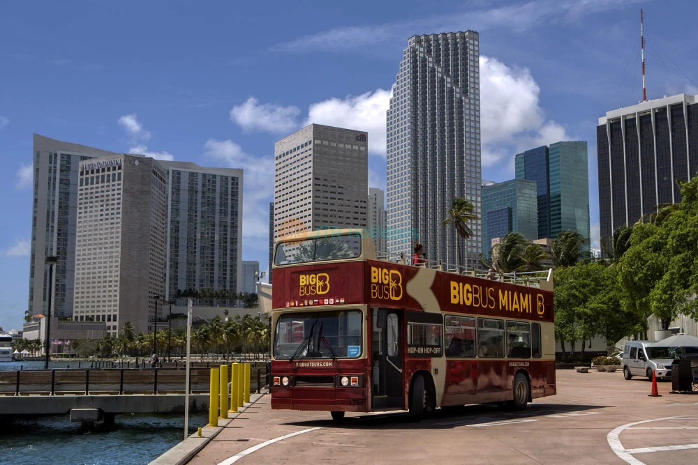 Miami Open-Top Night Bus Tour - Explore the City After Dark- JTR Holidays - Image 7 of 8
