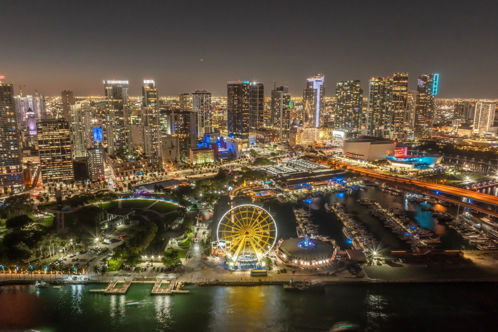 Skyviews Miami Observation Wheel - Image 1 of 5