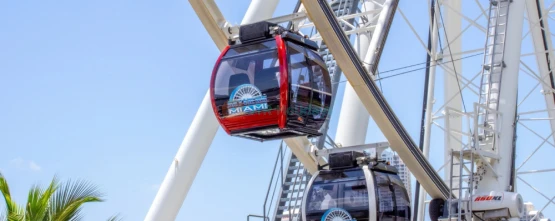 skyviews Miami Observation Wheel - Best Panoramic Views of Miami - JTR Holidays