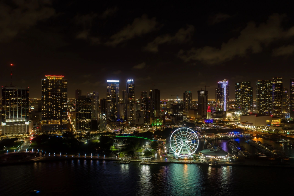 Grande roue d'observation Skyviews Miami - Image 5 sur 5