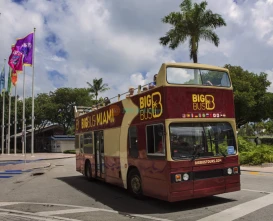 Miami Big Bus Open-Top Hop-On Hop-Off Tours – Explore Miami at Your Own Pace-JTR Holidays