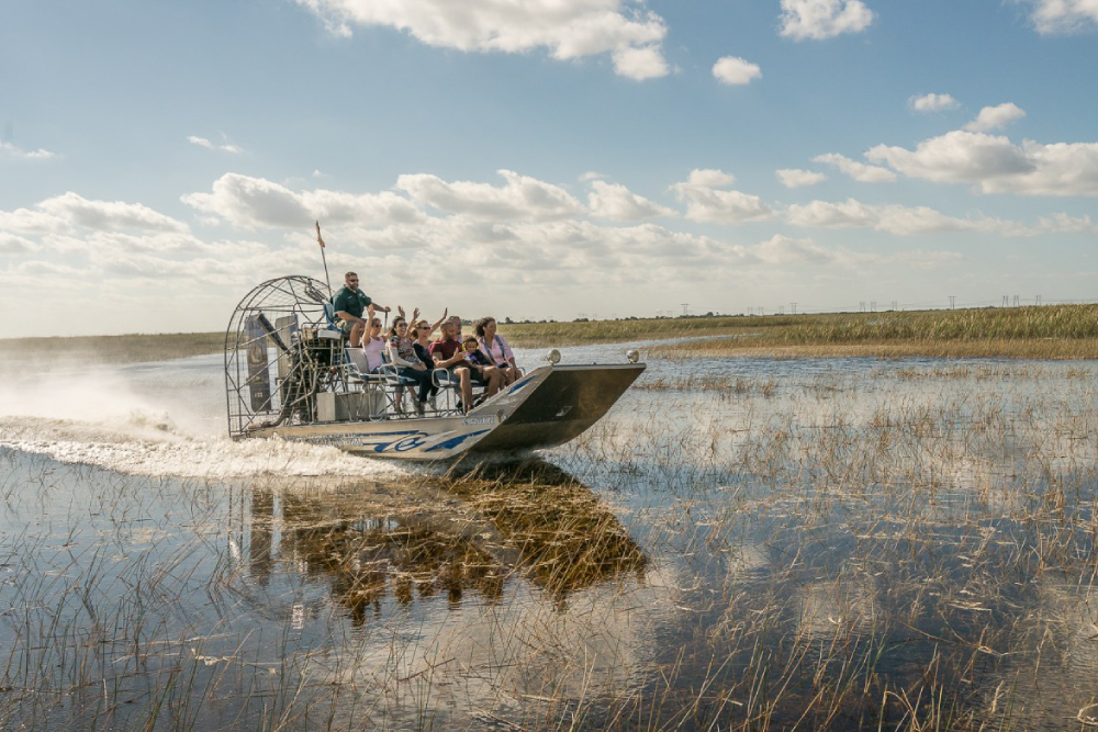 Sawgrass Recreation Park Ticket - Explore the natural beauty of the Florida Everglades at Sawgrass Recreation Park. Enjoy a thrilling airboat ride, spot native wildlife, and visit a rescued animal sanctuary. Learn about the unique ecosystem and capture unforgettable moments. Sawgrass Recreation Park Florida is perfect for families, nature lovers, and adventure seekers. Plan your visit today and experience the best of the Everglades at Sawgrass Recreation Park Florida. Sawgrass Recreation Park Ticket - Image 1 of 5