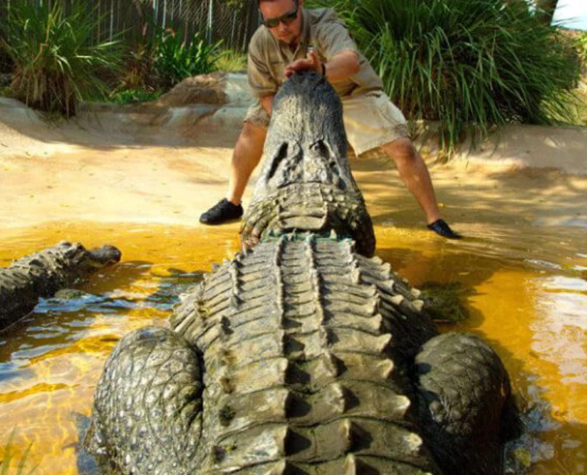 Sawgrass Recreation Park Florida - Everglades Airboat Adventure & Wildlife Experience- JTR Holidays - Image 2 of 5