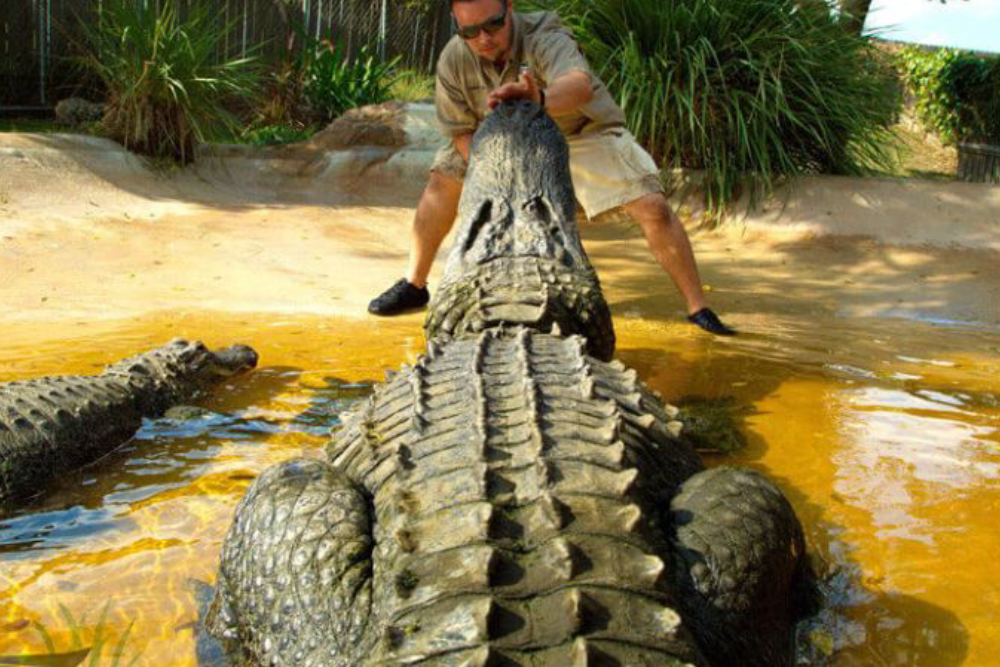 Billet pour le Parc de loisirs Sawgrass - Image 2 sur 5