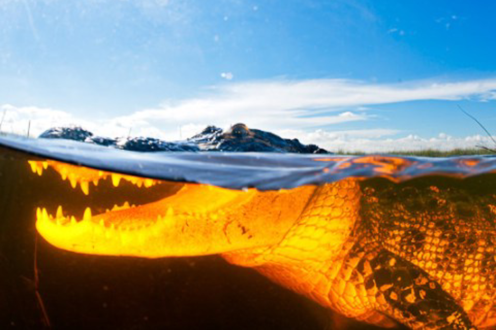 Sawgrass Recreation Park Ticket - Image 3 of 5