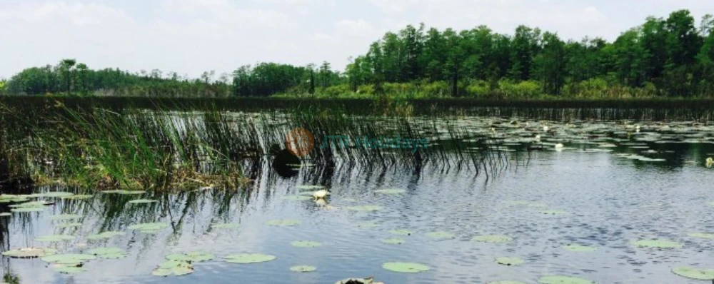 Sawgrass Recreation Park Florida - Everglades Airboat Adventure & Wildlife Experience- JTR Holidays - Image 4 of 5
