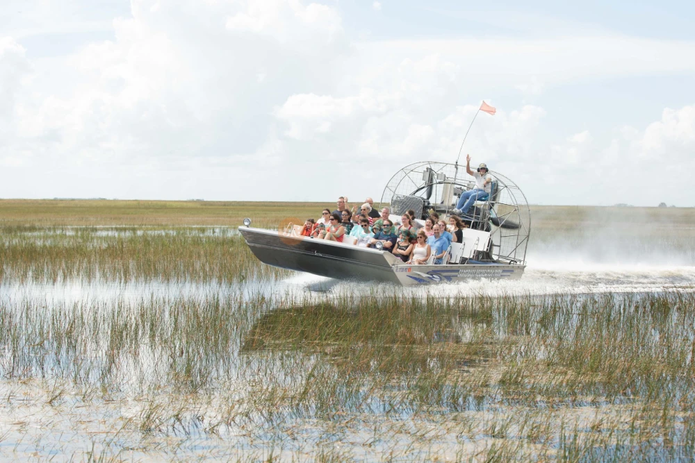 Sawgrass Recreation Park Florida - Everglades Airboat Adventure & Wildlife Experience- JTR Holidays - Image 6 of 7