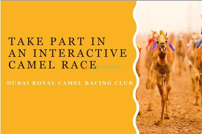 Dubai Royal Camel Racing Club