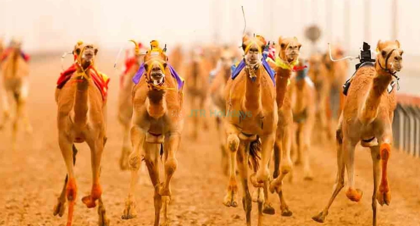 Dubai Royal Camel Racing Club - Dubai Camel Racing - JTR Holidays