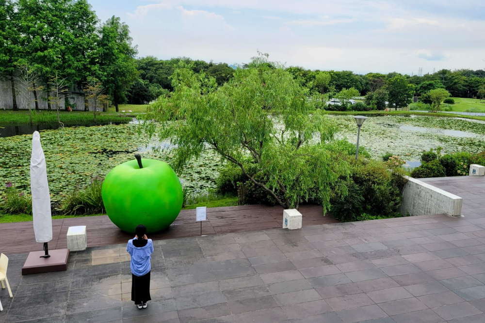 Bonte Museum Jeju - Image 1 of 8