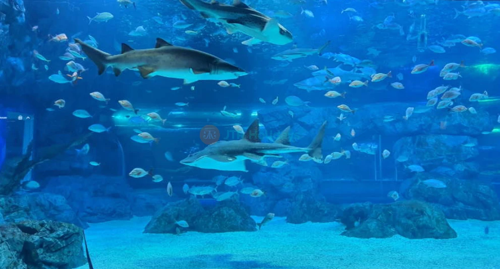 Gwanggyo Aqua Planet - Erkunden Sie die erstaunliche Welt des Meereslebens im Gwanggyo Aqua Planet, einem der besten Aquarien in Gyeonggi. Gwanggyo Aqua Planet bietet Besuchern die Gelegenheit, die Schönheit des Ozeans mit lebendigen Meeresbewohnern und spannenden Ausstellungen zu erleben. Gwanggyo Aqua Planet beherbergt vielfältige Meeresarten und ist somit ein perfekter Ort für Bildung und Unterhaltung. Entdecken Sie die Wunder des Ozeans und schaffen Sie unvergessliche Erinnerungen im Gwanggyo Aqua Planet! Gwanggyo Aqua Planet - Bild 1 von 5