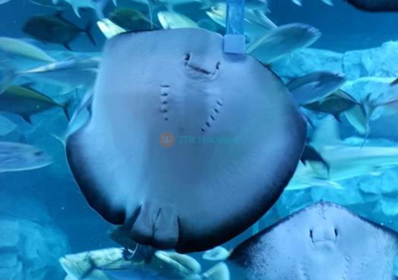 Gwanggyo Aqua Planet