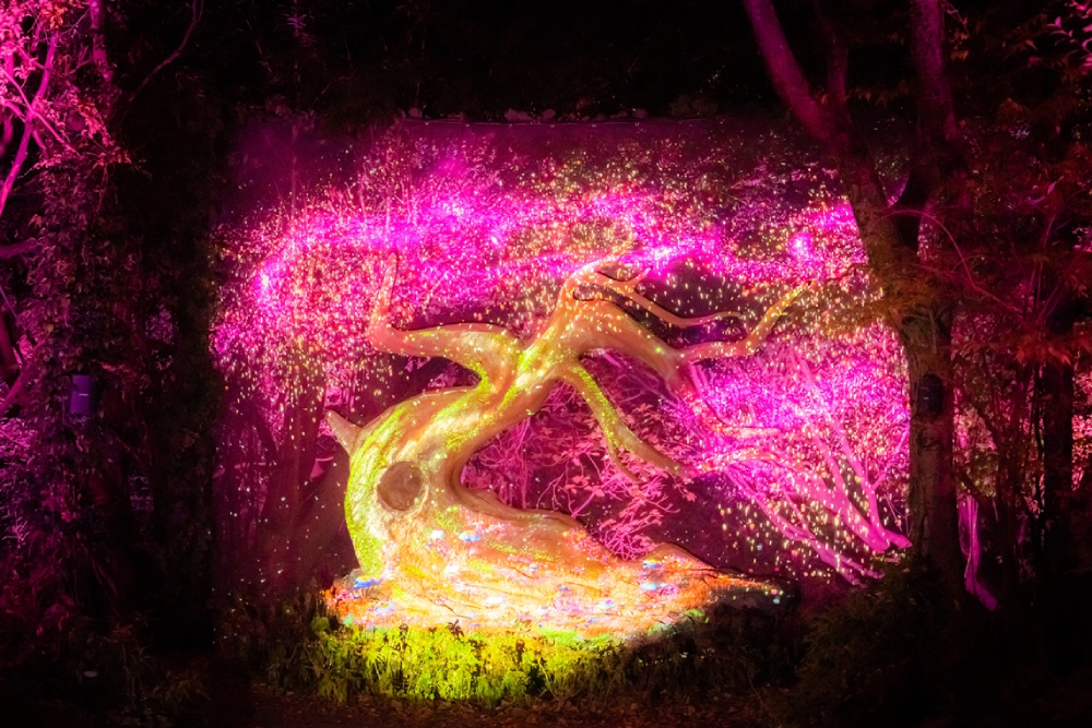 Lunafall Digital Theme Park Jeju - Explore the magic of Lunafall Digital Theme Park, where Jeju’s night scenery meets dazzling media art. Walk through a dreamy world of glowing sculptures, colorful lights, and enchanting stories. Lunafall Digital Theme Park brings the legend of the fallen moon to life with immersive technology. Perfect for families, couples, and friends, Lunafall Digital Theme Park offers a unique and unforgettable experience. Visit Lunafall Digital Theme Park and step into a world of wonder and imagination. Lunafall Digital Theme Park Jeju - Image 2 of 5