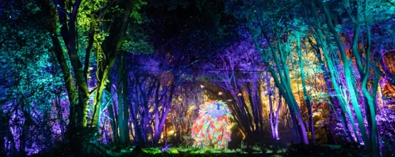 Lunafall Digital Theme Park - A Magical Night Experience in Jeju - JTR Holidays