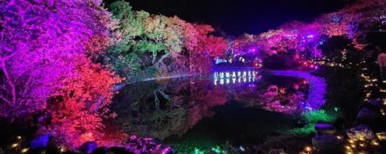 Lunafall Digital Theme Park - A Magical Night Experience in Jeju - JTR Holidays