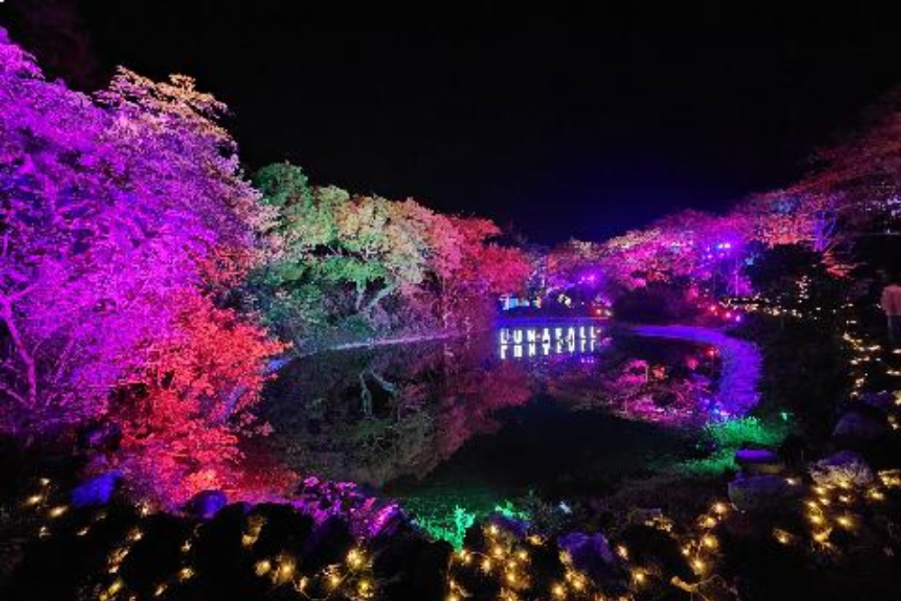 Lunafall Digital Theme Park Jeju - Explore the magic of Lunafall Digital Theme Park, where Jeju’s night scenery meets dazzling media art. Walk through a dreamy world of glowing sculptures, colorful lights, and enchanting stories. Lunafall Digital Theme Park brings the legend of the fallen moon to life with immersive technology. Perfect for families, couples, and friends, Lunafall Digital Theme Park offers a unique and unforgettable experience. Visit Lunafall Digital Theme Park and step into a world of wonder and imagination. Lunafall Digital Theme Park Jeju - Image 4 of 5
