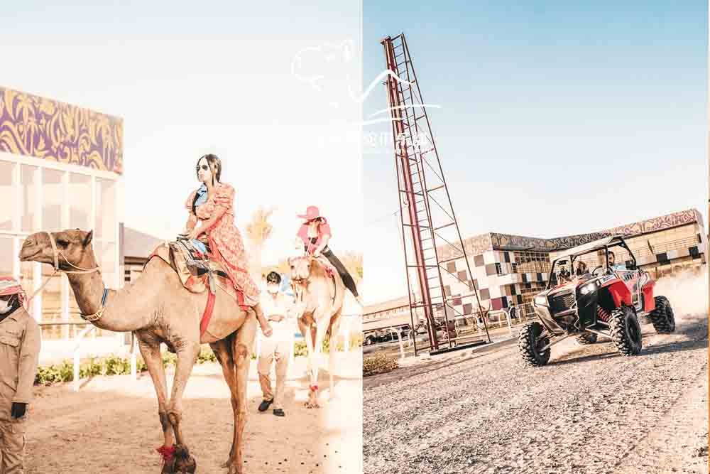 Dubai Royal Camel Racing Club - Image 8 of 10