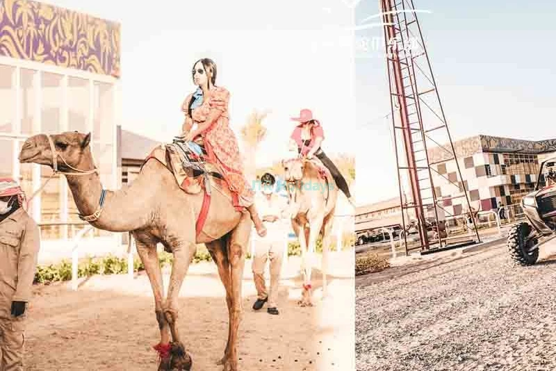 Dubai Royal Camel Racing Club - Dubai Camel Racing - JTR Holidays