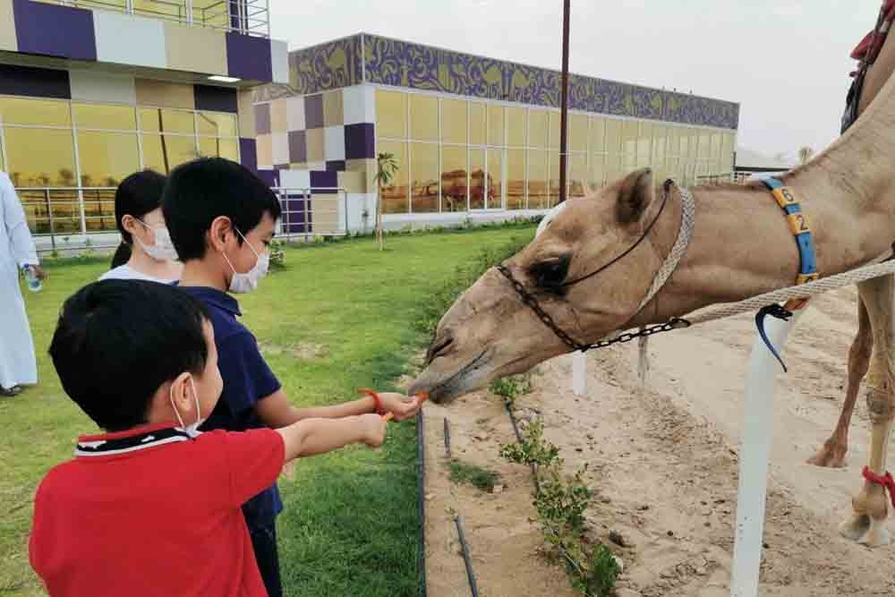 Dubai Royal Camel Racing Club - Image 9 of 10