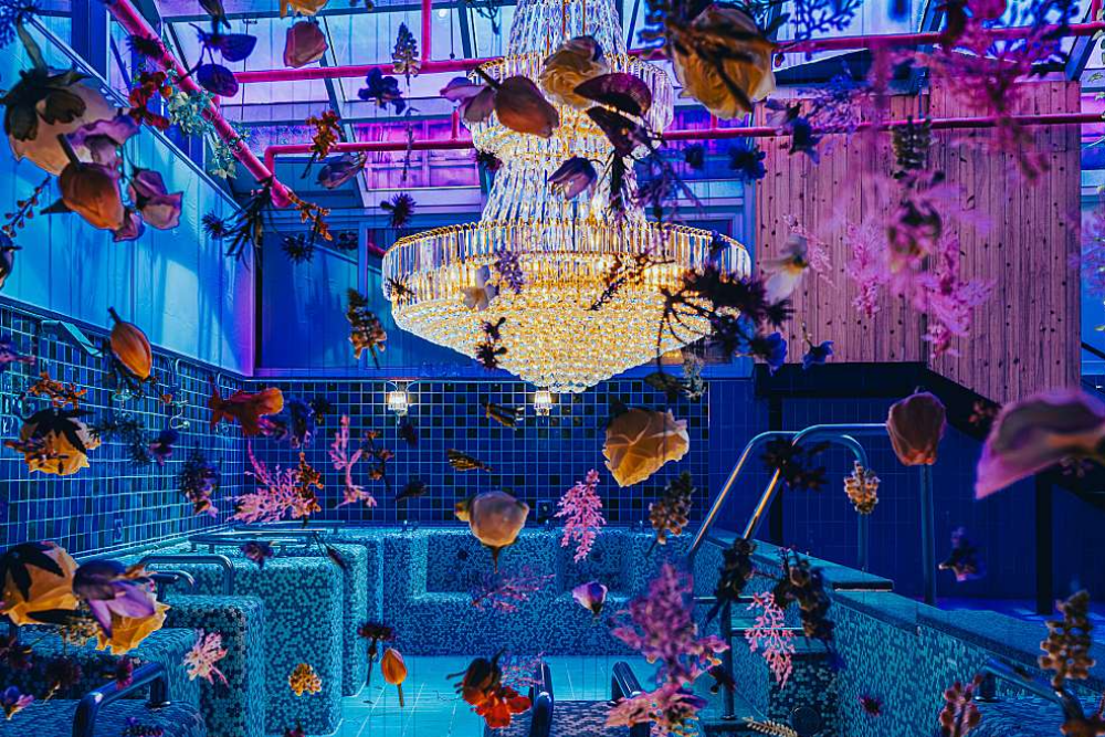 Waterworld Theme Park Jeju - Experience a magical adventure at Waterworld Digital Theme Park Jeju, where water, light, and technology come together for an unforgettable journey. Explore 12 themed zones filled with immersive art, interactive water displays, and dazzling light shows. Waterworld Digital Theme Park Jeju is perfect for families, couples, and friends looking for a unique and exciting attraction. Walk through dreamlike landscapes, enjoy hands-on experiences, and capture stunning photos. Don't miss the chance to visit Waterworld Digital Theme Park Jeju, a must-see destination for all ages! Waterworld Theme Park Jeju - Image 1 of 5