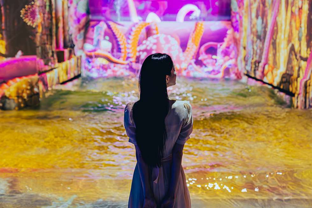 济州水世界主题公园 - Image 2 of 8