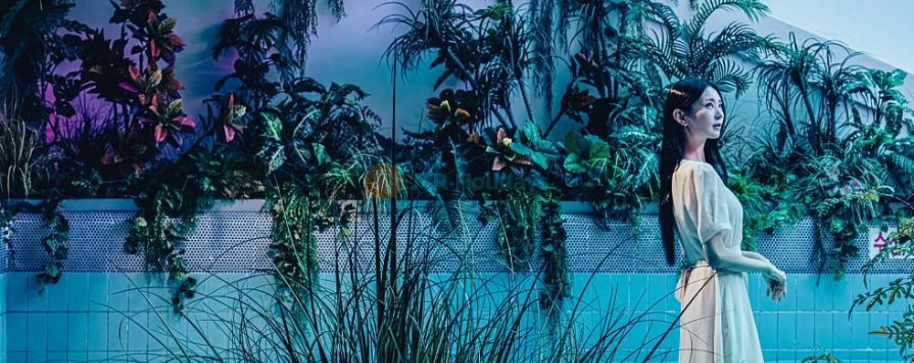 Waterworld Digital Theme Park Jeju - Immersive Water-Themed Experience - JTR Holidays - Image 4 of 5