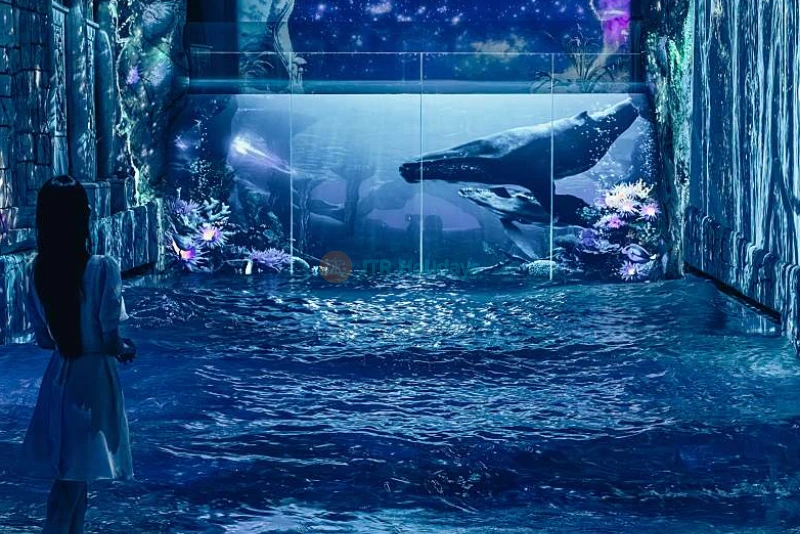 Waterworld Digital Theme Park Jeju - Immersive Water-Themed Experience - JTR Holidays