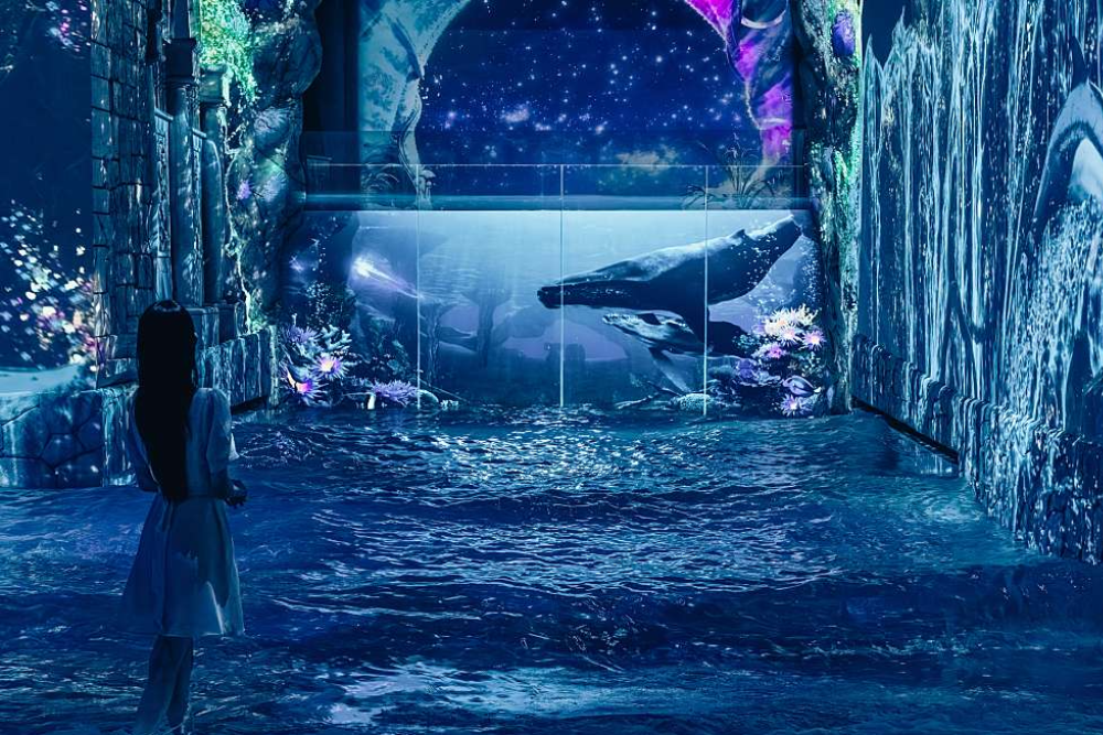 济州水世界主题公园 - Image 8 of 8