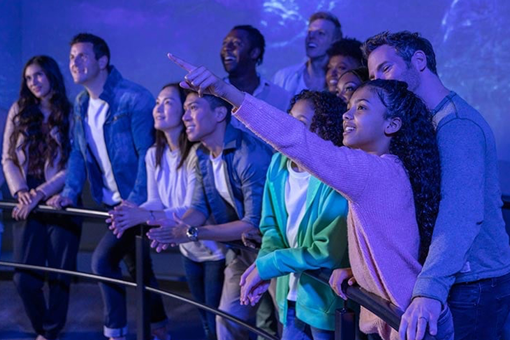 Flyover Experience in Chicago - Image 3 of 5