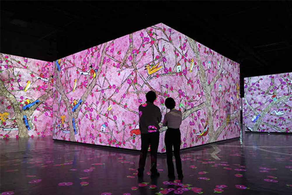 Bunker des Lumieres Jeju - Image 2 of 7