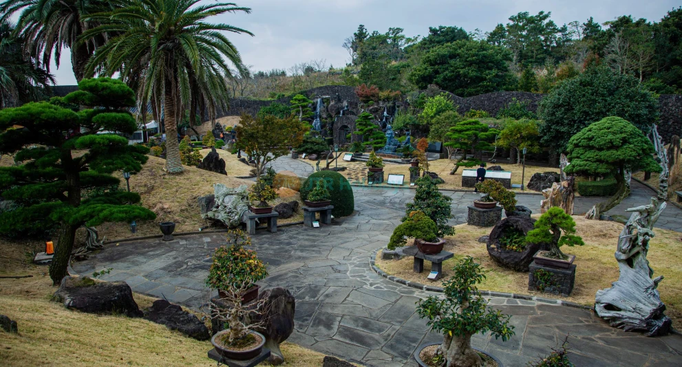 Spirited Garden Jeju - A Peaceful and Beautiful Garden in Jeju - JTR Holidays - Image 1 of 5