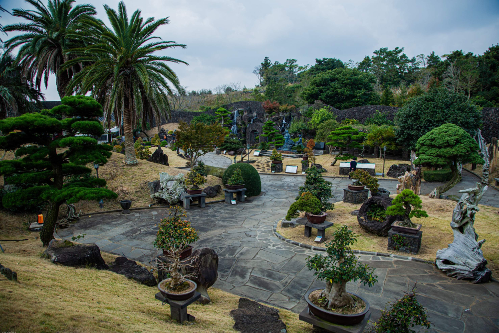 Spirited Garden Jeju - Image 1 of 8