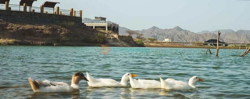 Excursion dans les montagnes de Hatta depuis Dubaï - Aujourd'hui, la structure trône fièrement à un point culminant de Hatta, offrant aux visiteurs des vues préservées de sa beauté naturelle. Un site incontournable pour toute personne venant à Hatta. L'emblématique montagne de Hatta est un symbole iconique située au sommet le plus élevé des montagnes visibles de tous ceux qui entrent à Hatta. Hauteur de 60 mètres et illuminant le ciel nocturne, c'est un excellent point de repère vers lequel randonner et capturer cette photo mémorable. Excursion dans les montagnes de Hatta depuis Dubaï - Image 4 sur 5