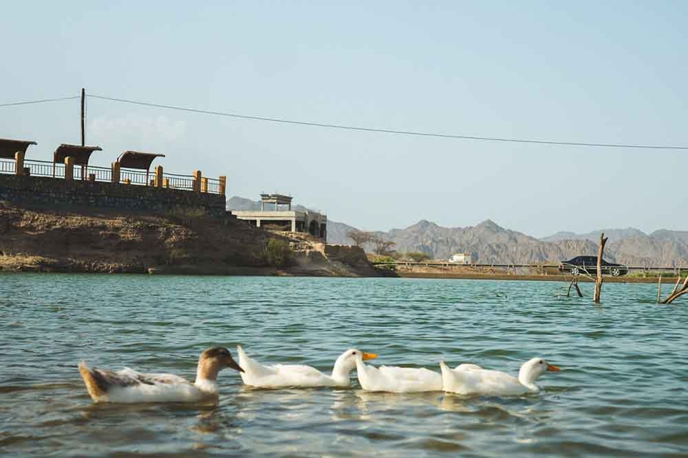 Hatta Mountain Tour from Dubai - Image 4 of 10