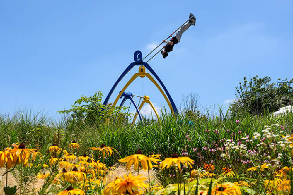 Parc 9.81 Jeju - Le Parc 9.81 Jeju propose une aventure excitante où vous pouvez vivre des descentes défiant la gravité et des vues imprenables sur Jeju. Au Parc 9.81 Jeju, profitez d'une course en descente palpitante à la vitesse de la gravité et laissez-vous émerveiller par les panoramas du mont Halla. Le Parc 9.81 Jeju est parfait pour les amateurs d'adrénaline, avec des véhicules conçus pour le plaisir à grande vitesse. Après la course, détendez-vous et profitez de diverses attractions intérieures comme le laser game et les autos tamponneuses. Visitez le Parc 9.81 Jeju pour une expérience inoubliable au cœur de l'île de Jeju ! Parc 9.81 Jeju - Image 1 sur 5