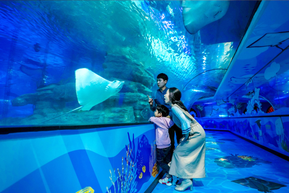 Acuario SEA LIFE Busan - Descubre las maravillas del océano en el Acuario SEA LIFE Busan, una atracción marina imprescindible en Corea del Sur. Explora túneles submarinos hipnotizantes, encuentra tiburones, medusas y vida marina vibrante de cerca. El Acuario SEA LIFE Busan ofrece experiencias interactivas, exhibiciones educativas y emocionantes sesiones de alimentación. Perfecto para familias y entusiastas del mar, el Acuario SEA LIFE Busan promete una aventura inolvidable bajo las olas. ¡Visita el Acuario SEA LIFE Busan para un viaje acuático inmersivo como ningún otro! Acuario SEA LIFE Busan - Imagen 1 de 5