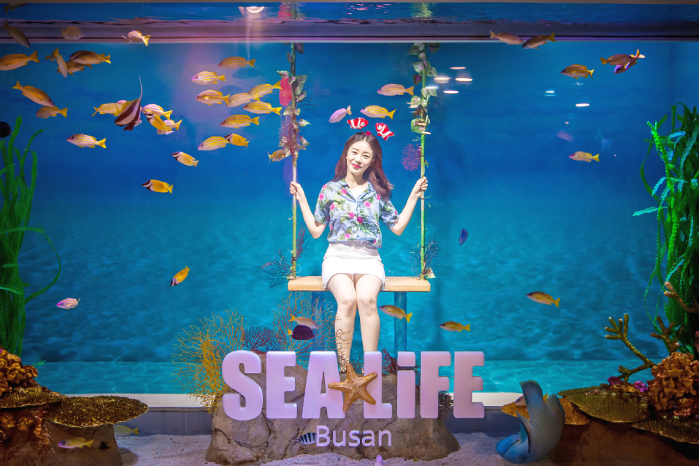 SEA LIFE Busan Aquarium - Image 2 of 9