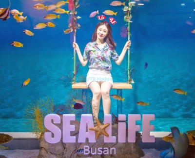 씨라이프 부산 아쿠아리움 - 씨라이프 부산 아쿠아리움에서 바다의 경이로움을 만나보세요. 대한민국에서 꼭 방문해야 할 해양 명소입니다. 매혹적인 수중 터널을 탐험하고 상어, 해파리, 다채로운 해양 생물을 가까이에서 만날 수 있습니다. 씨라이프 부산 아쿠아리움은 인터랙티브 체험, 교육 전시, 흥미진진한 먹이 주기 세션을 제공합니다. 가족과 해양 애호가에게 완벽한 씨라이프 부산 아쿠아리움은 파도 아래 잊을 수 없는 모험을 약속합니다. 독보적인 수중 여행을 위해 씨라이프 부산 아쿠아리움을 방문하세요! 씨라이프 부산 아쿠아리움 - 이미지 2 중 5