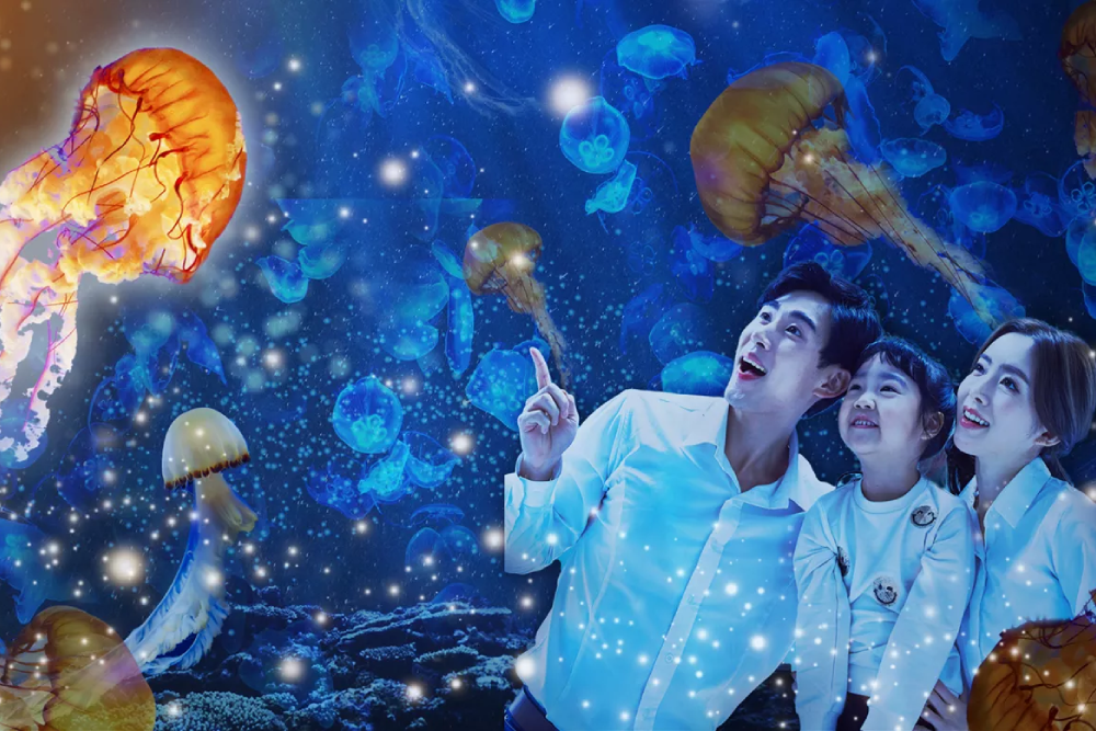 Acuario SEA LIFE Busan - Descubre las maravillas del océano en el Acuario SEA LIFE Busan, una atracción marina imprescindible en Corea del Sur. Explora túneles submarinos hipnotizantes, encuentra tiburones, medusas y vida marina vibrante de cerca. El Acuario SEA LIFE Busan ofrece experiencias interactivas, exhibiciones educativas y emocionantes sesiones de alimentación. Perfecto para familias y entusiastas del mar, el Acuario SEA LIFE Busan promete una aventura inolvidable bajo las olas. ¡Visita el Acuario SEA LIFE Busan para un viaje acuático inmersivo como ningún otro! Acuario SEA LIFE Busan - Imagen 3 de 5