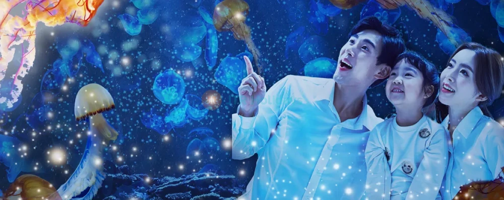 SEA LIFE Busan Aquarium - Explore Marine Wonders in South Korea - JTR Holidays - Image 3 of 5