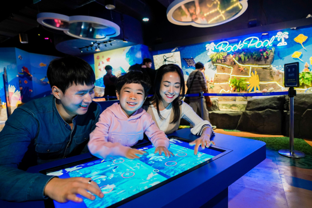 Acuario SEA LIFE Busan - Descubre las maravillas del océano en el Acuario SEA LIFE Busan, una atracción marina imprescindible en Corea del Sur. Explora túneles submarinos hipnotizantes, encuentra tiburones, medusas y vida marina vibrante de cerca. El Acuario SEA LIFE Busan ofrece experiencias interactivas, exhibiciones educativas y emocionantes sesiones de alimentación. Perfecto para familias y entusiastas del mar, el Acuario SEA LIFE Busan promete una aventura inolvidable bajo las olas. ¡Visita el Acuario SEA LIFE Busan para un viaje acuático inmersivo como ningún otro! Acuario SEA LIFE Busan - Imagen 5 de 5
