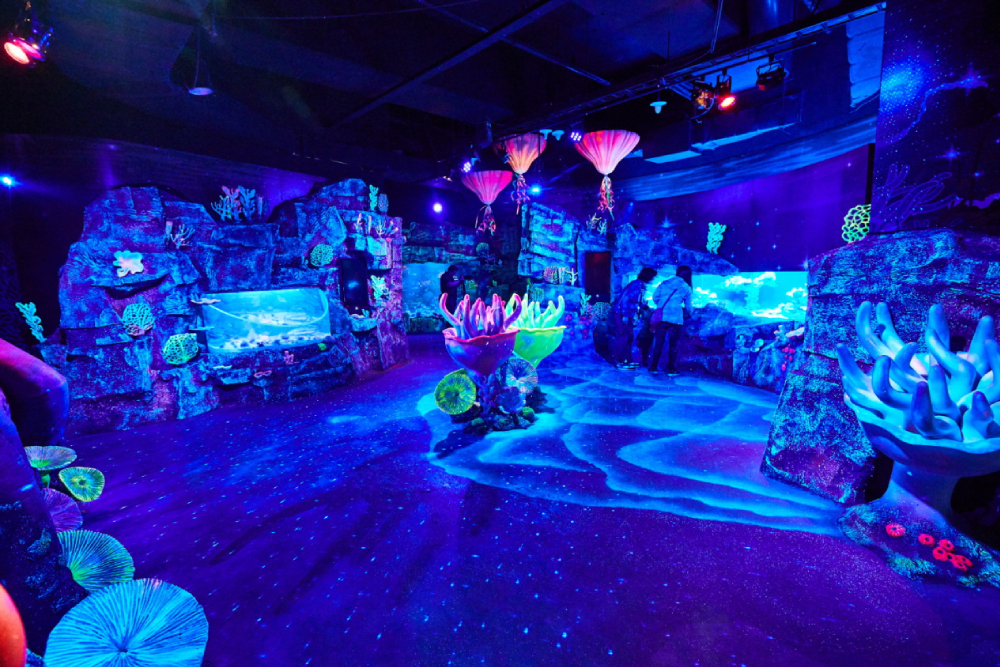 SEA LIFE Busan Aquarium - Image 6 of 9