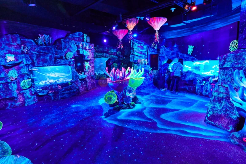 SEA LIFE Busan Aquarium - Explore Marine Wonders in South Korea - JTR Holidays - Image 6 of 9