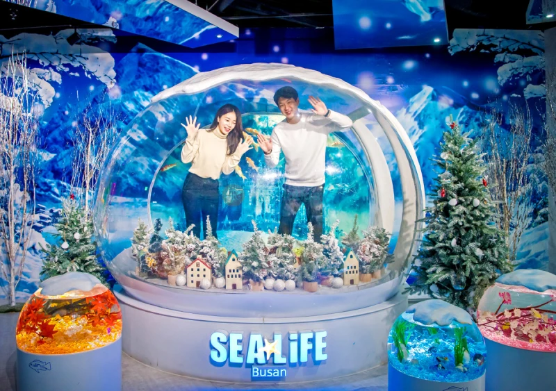 SEA LIFE Busan Aquarium