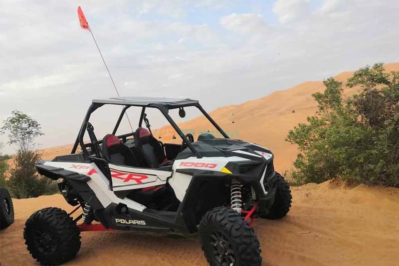 Safari nel Deserto Mattutino a Dubai con Giro in Dune Buggy