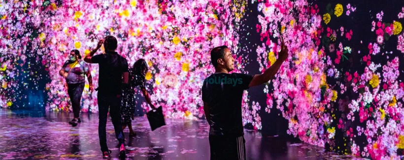 Superblue Miami - Discover Superblue Miami, an immersive art experience where light, color, and technology come to life. Step into interactive exhibits by world-famous artists and explore digital landscapes that respond to touch and motion. Perfect for art lovers, families, and adventure seekers, this unique attraction offers unforgettable visuals. Superblue Miami - Image 3 of 5