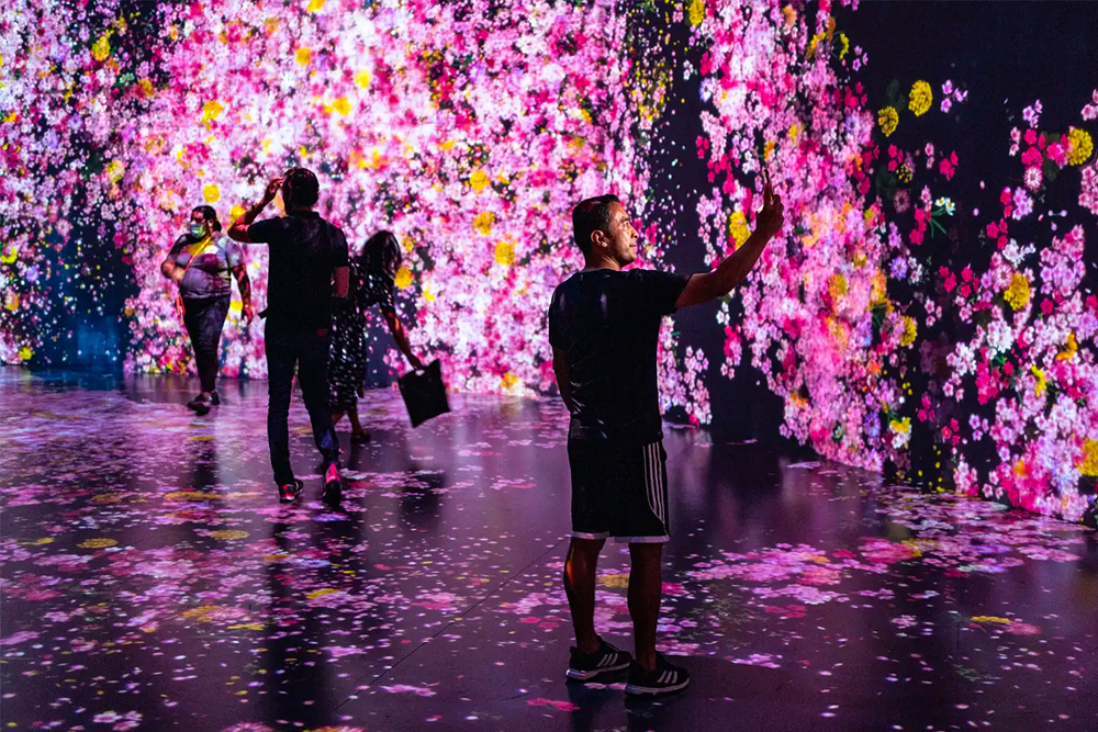 Superblue Miami - Image 3 of 8